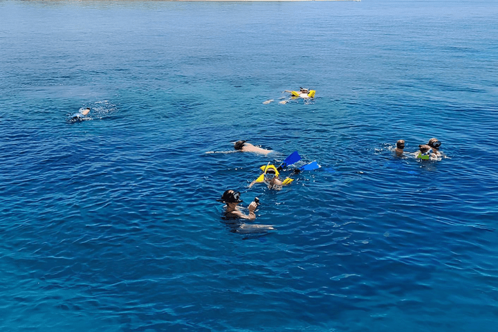 a group of people swimming in a body of water